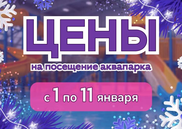 Цены на билеты в аквапарк «Фэнтази» в новогодние каникулы
